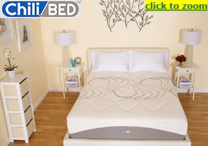 Coolest Sleep Possible - ChiliBed Temperature Controlled Memory Foam Beds