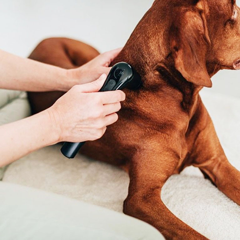 Novafon Power 2.0 Cordless Sonic Massager Acoustic Intrasound