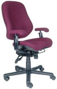 BodyBilt Intensive Use chairs