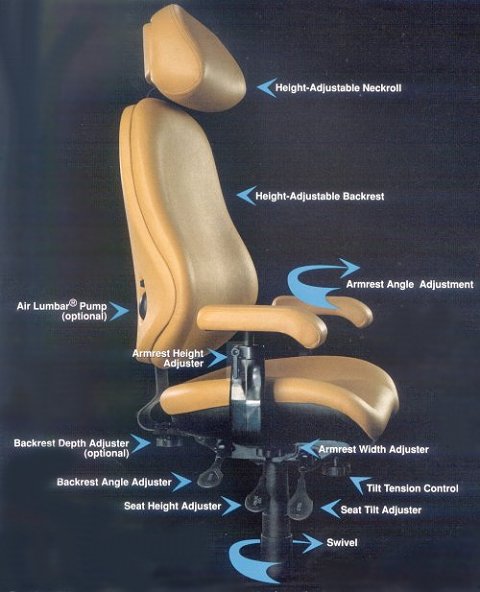 BodyBilt Posture Controls