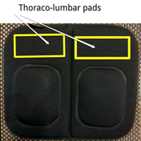 Dual Split Lumbar Pad with Thoraco-lumbar support